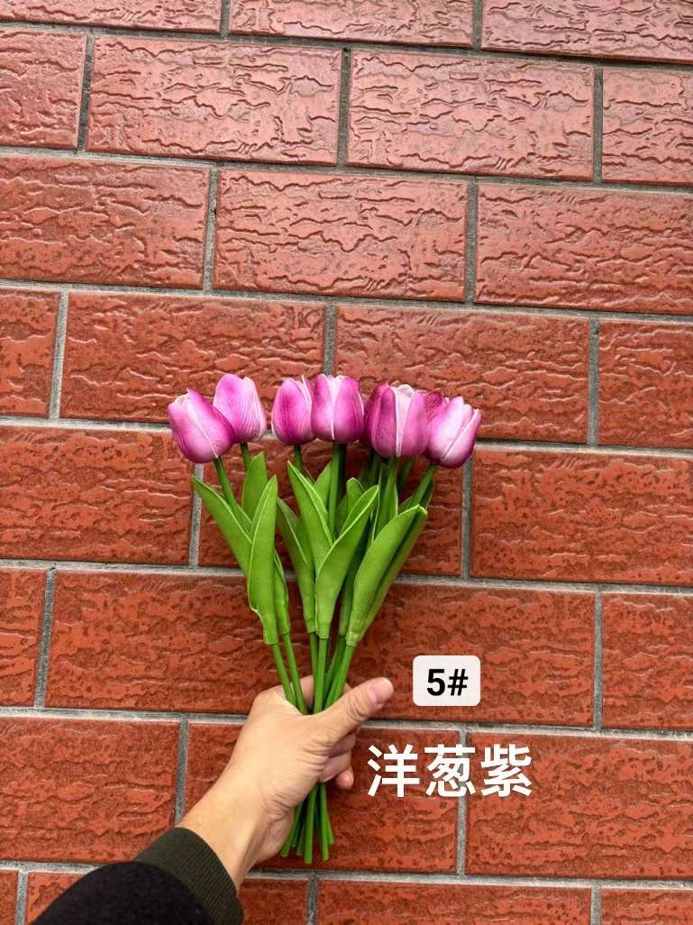 郁金香详情图11