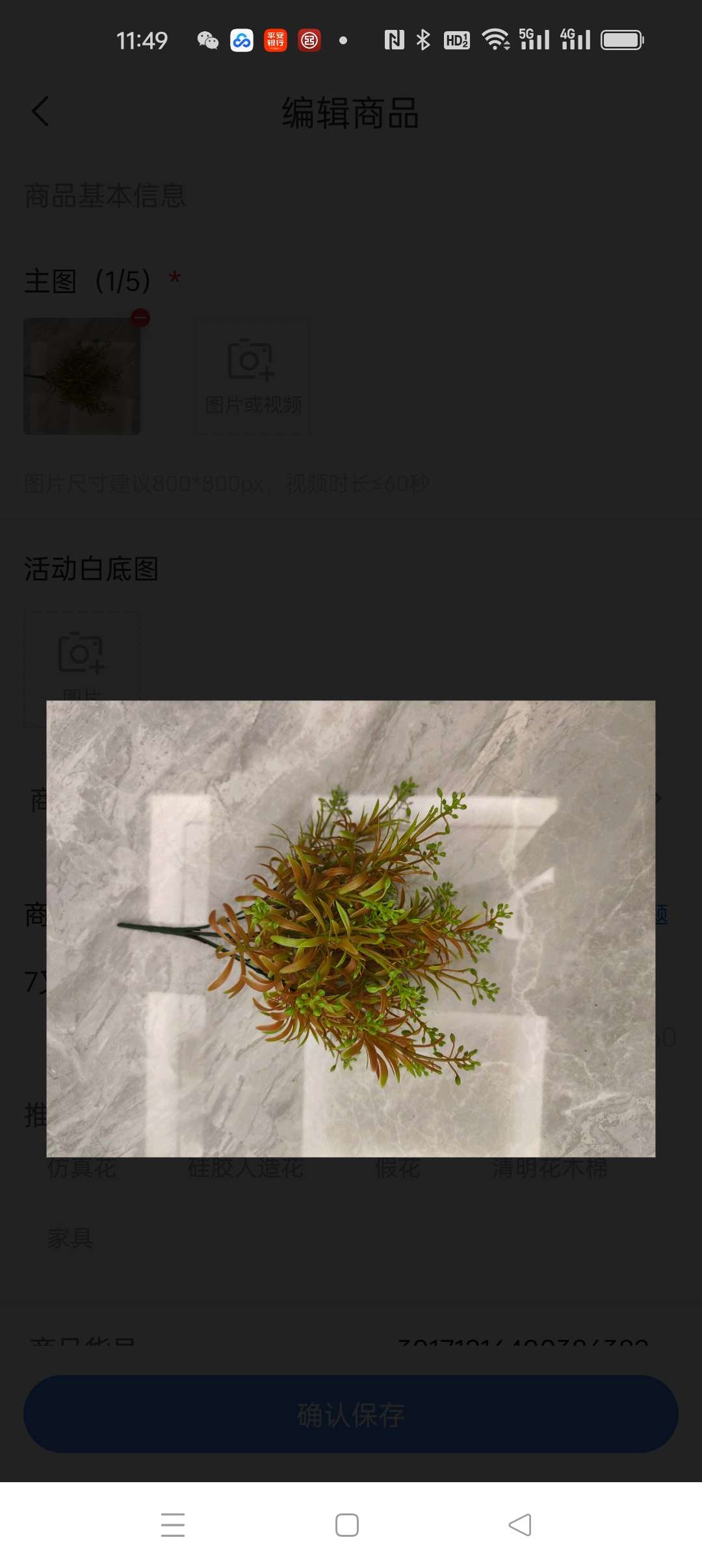 7叉秋色草产品图
