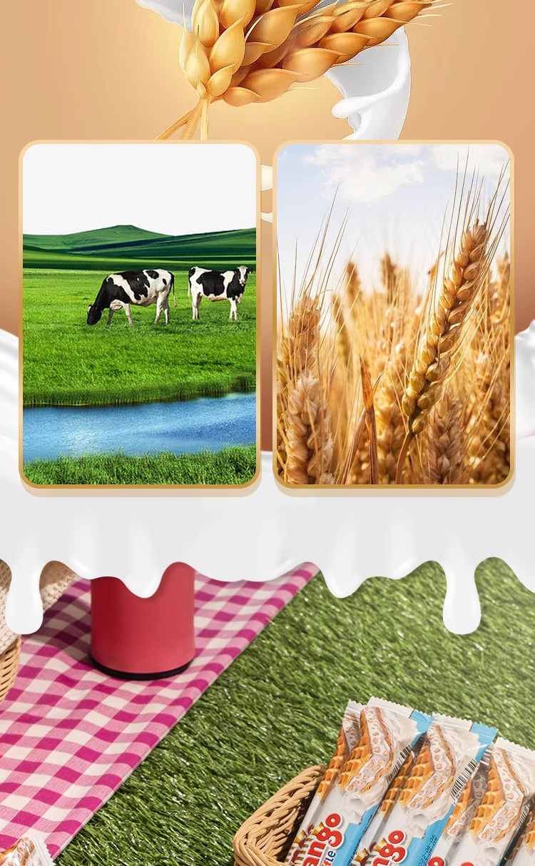 包邮零批！印尼进口Tango探戈咔咔脆威化饼干160g巧克力味夹心零食小吃休闲食品详情10