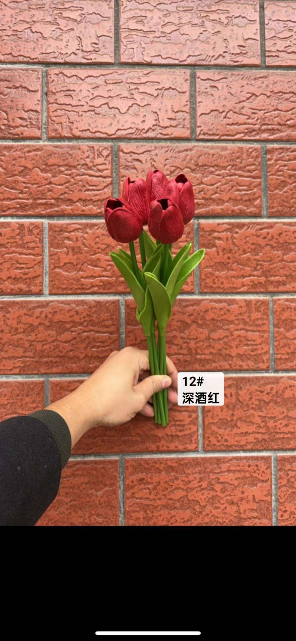 郁金香详情图2