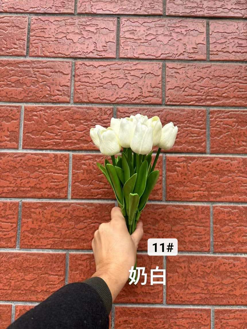郁金香详情图13