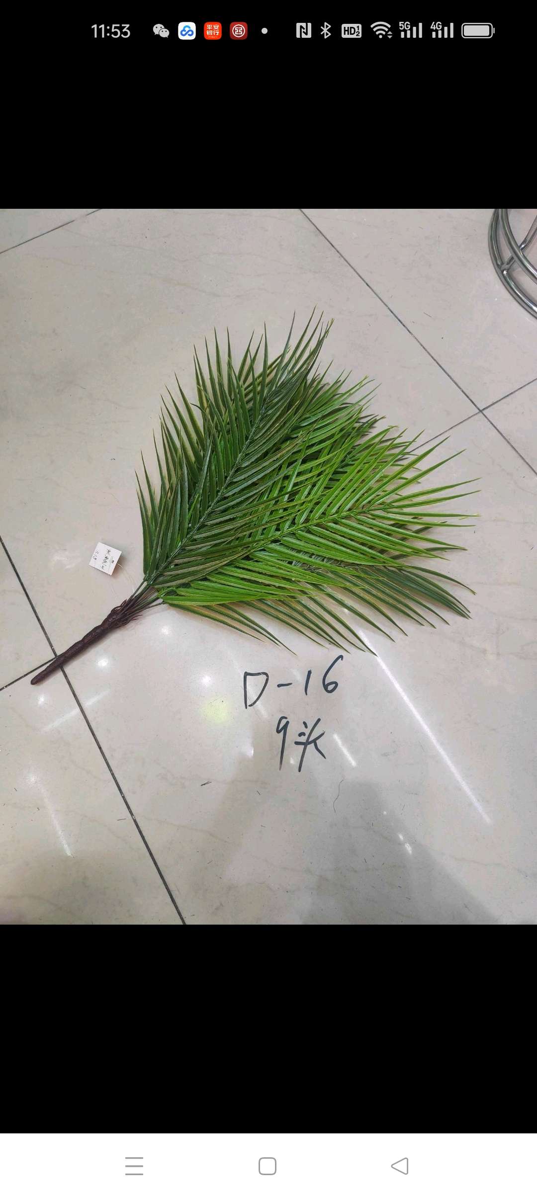 9叉/波丝叶/欢迎选购产品图