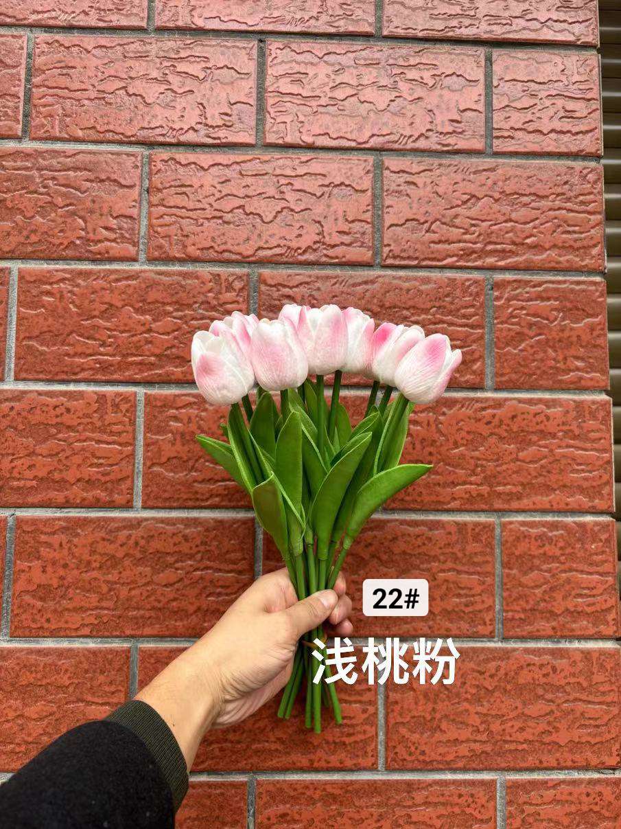 郁金香详情图3