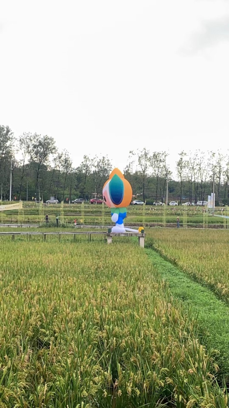 福斯特气模大型充气卡通气模定制发光花朵美陈网红爱心毛绒吉祥物 户外充气卡通气模IP定制行走人偶网红吉祥物商场广告宣传装饰详情8