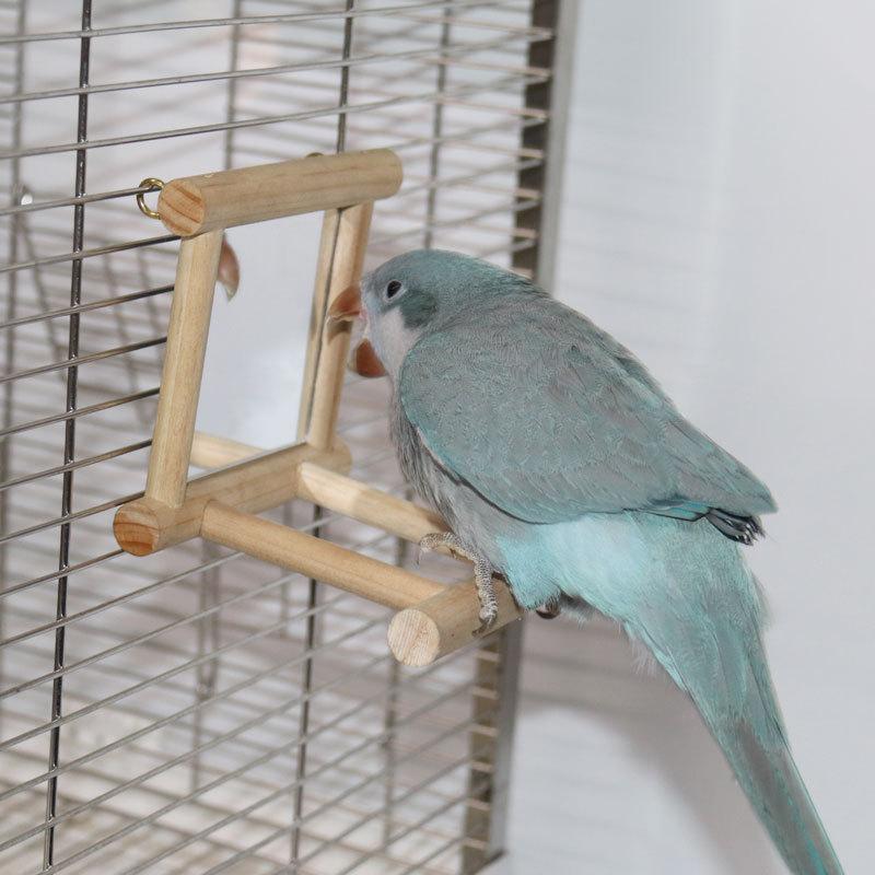 Small and Medium-Sized Parrot Supplies Parrot Bell Toy Bird Mirror Bird Cage Stand Stand Bar Accessories Toy Bird Factory