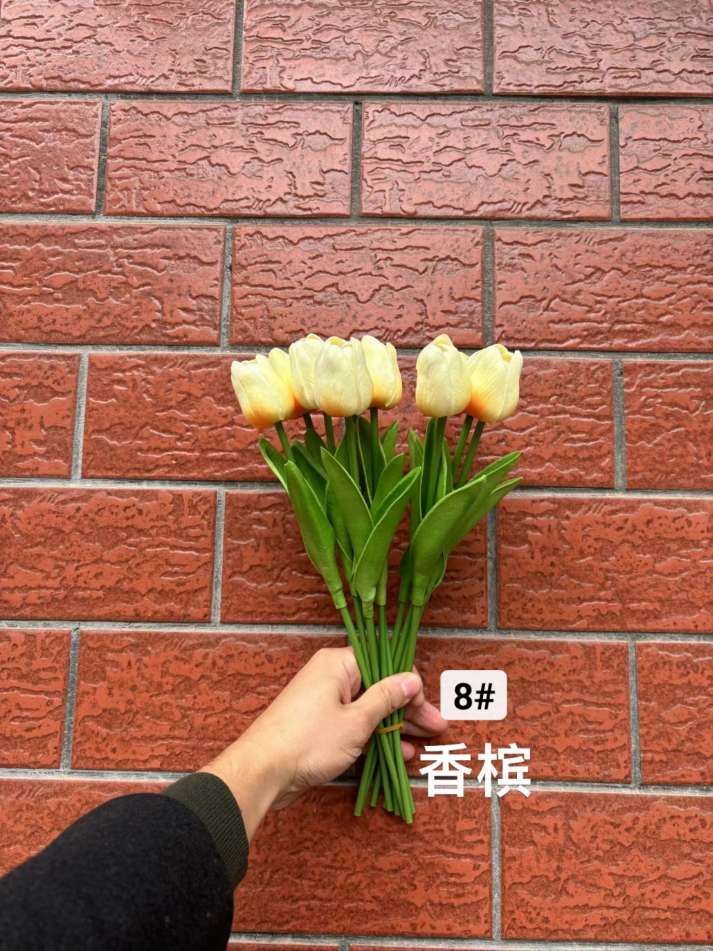 郁金香详情图8