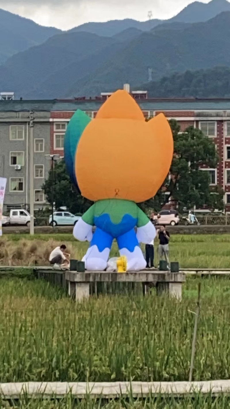 福斯特气模大型充气卡通气模定制发光花朵美陈网红爱心毛绒吉祥物 户外充气卡通气模IP定制行走人偶网红吉祥物商场广告宣传装饰详情10