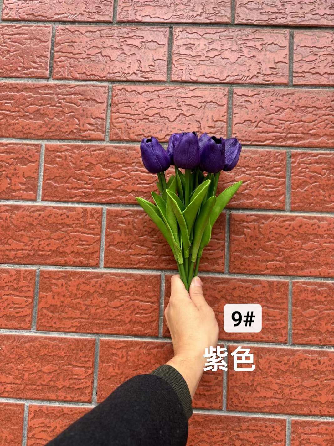 郁金香详情图7