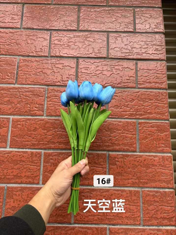 球根花卉实物图