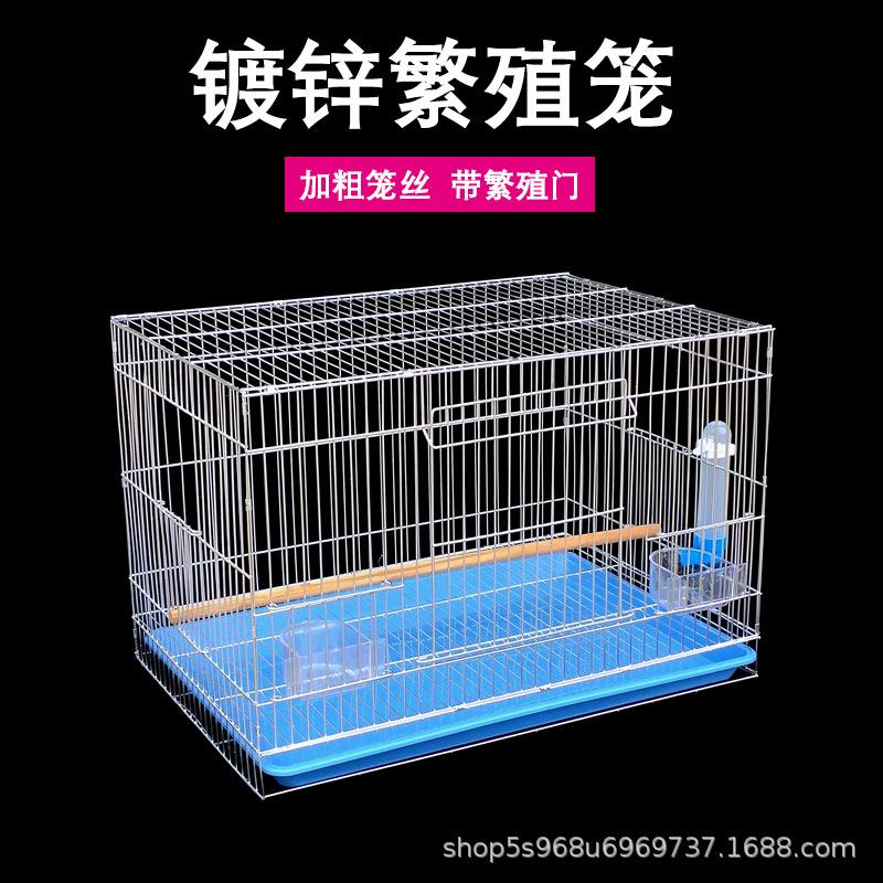 electroplating galvanized parrot breeding cage bird cage large bold tiger skin big brother xuanfeng with breeding mouth bird cage wholesale