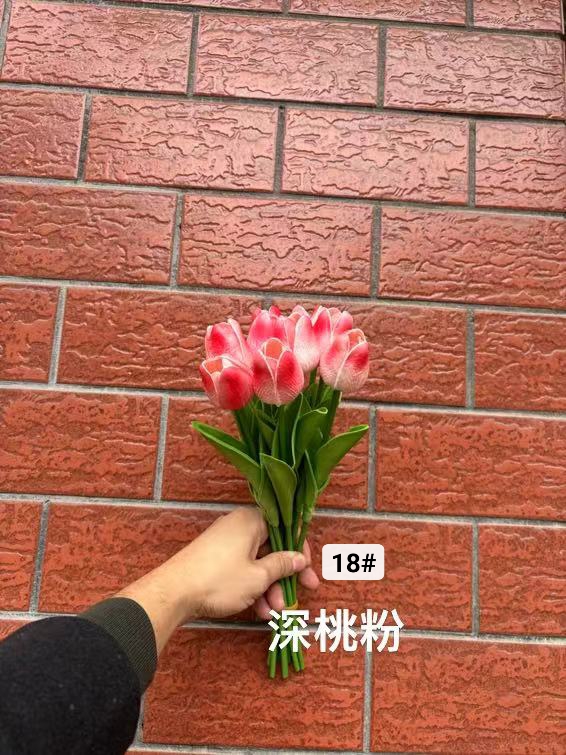 郁金香产品图