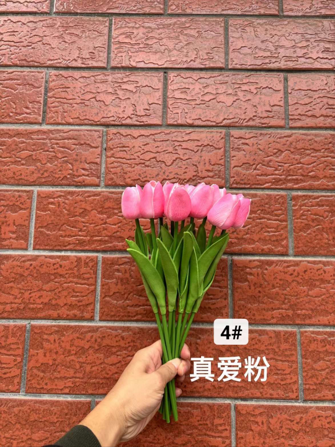 郁金香详情图12