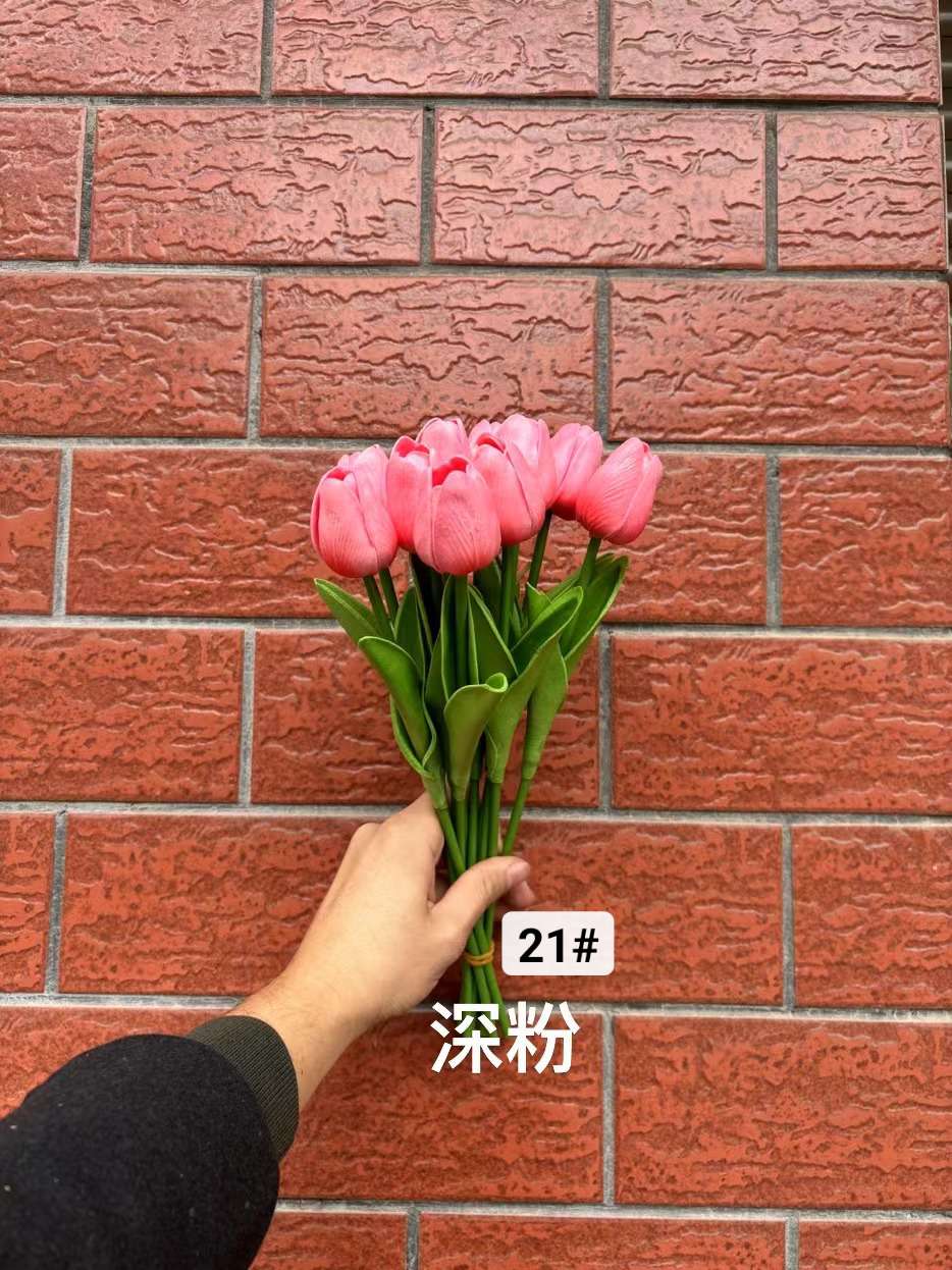 郁金香详情图4