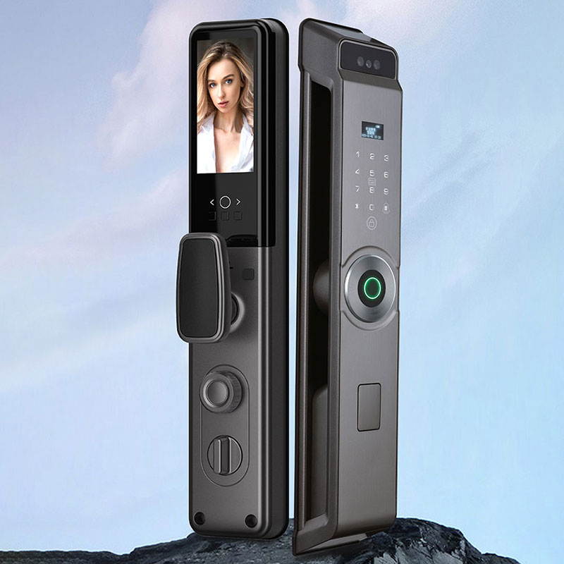 Graffiti wifi, face recognition, fingerprint, password, card swiping, video intercom, fully automatic, Spanish, Russian, Arabic, Portuguese, English, smart lock