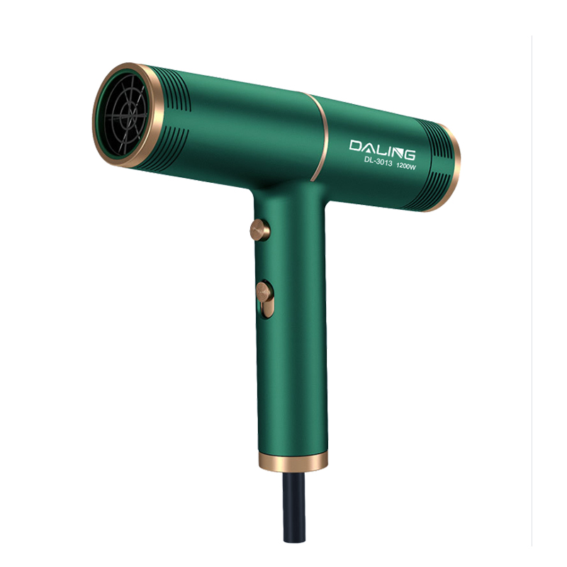 DALING Hair dryer Hair dryer Styling Hair dryer Hair dryer Hand held hair dryer Hair dryer for household use