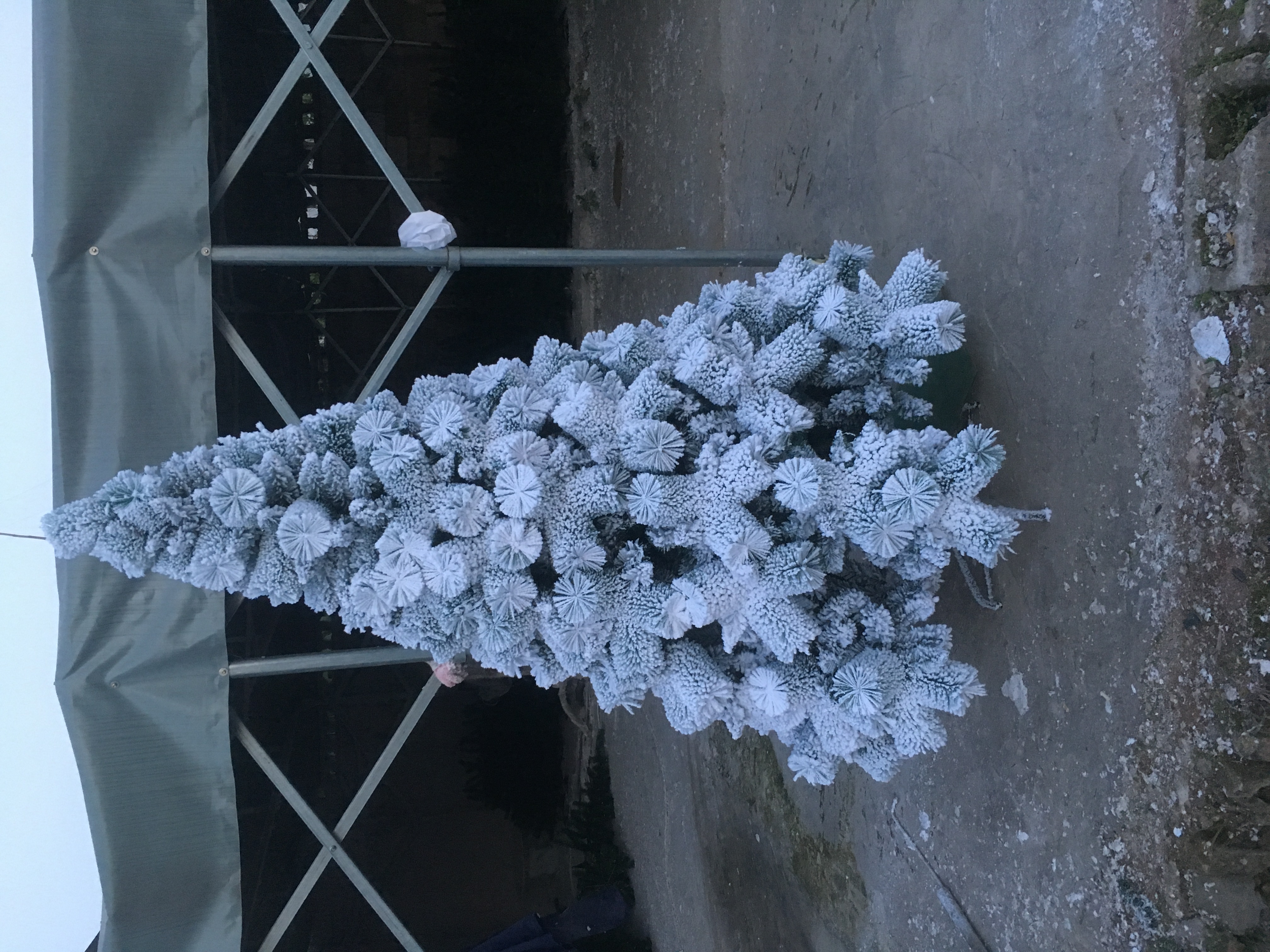圣诞雪景树雪场景拍摄装饰树圣诞树冰馆装饰雪树植绒雪景圣诞树90CM-300CM