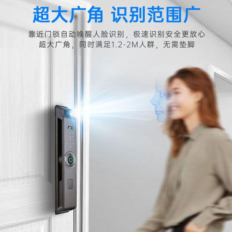 Graffiti wifi, face recognition, fingerprint, password, card swiping, video intercom, fully automatic, Spanish, Russian, Arabic, Portuguese, English, smart lock details Picture
