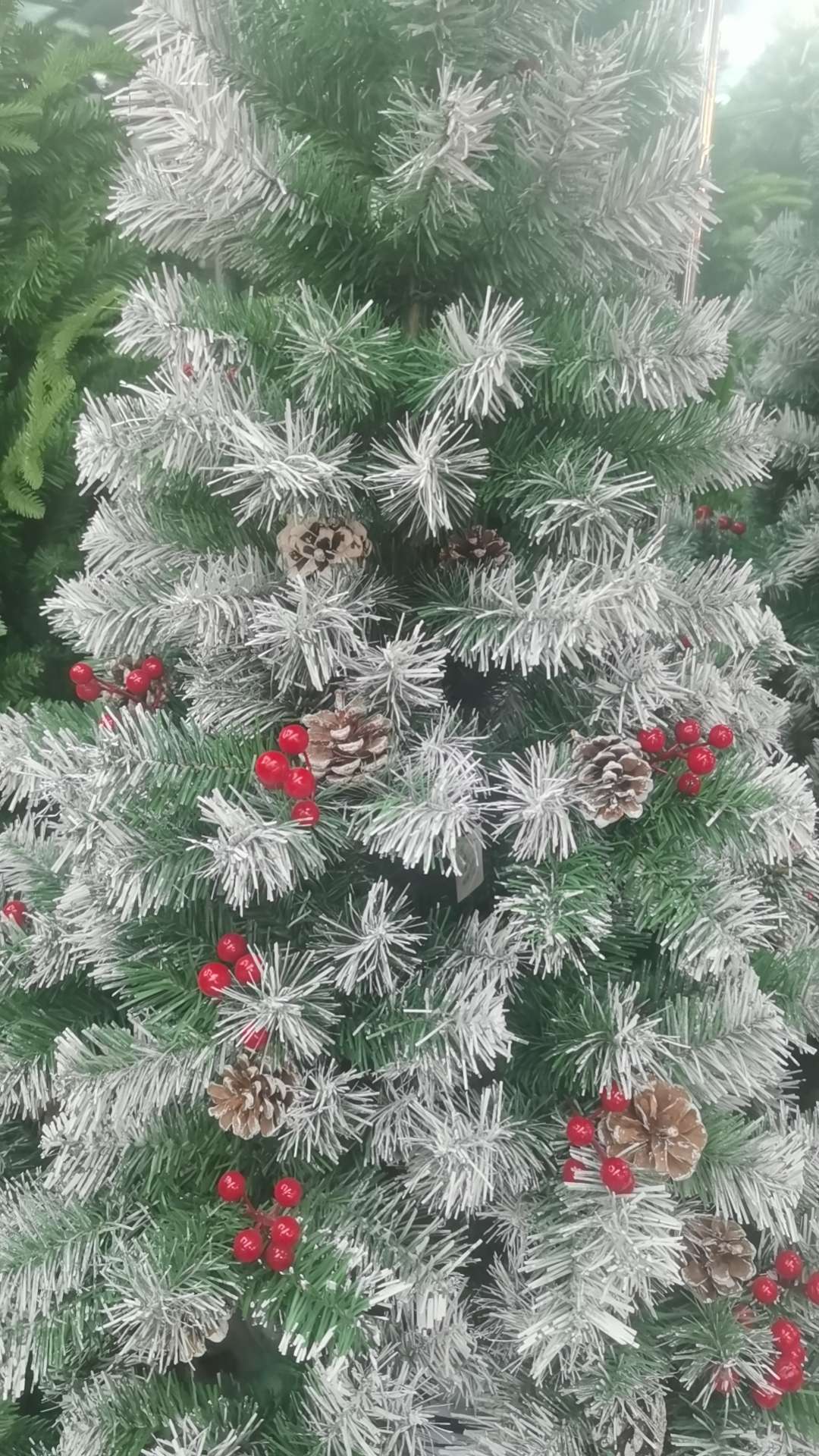 专业生产各种规格圣诞树，松针树，PE混合圣诞树飞雪花圣诞树飞雪花圣诞树产品图