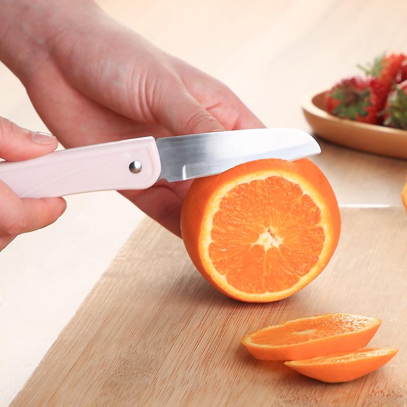 stainless steel folding fruit knife household portable portable small scraping knife kitchen knife peeler fruit knife details Picture