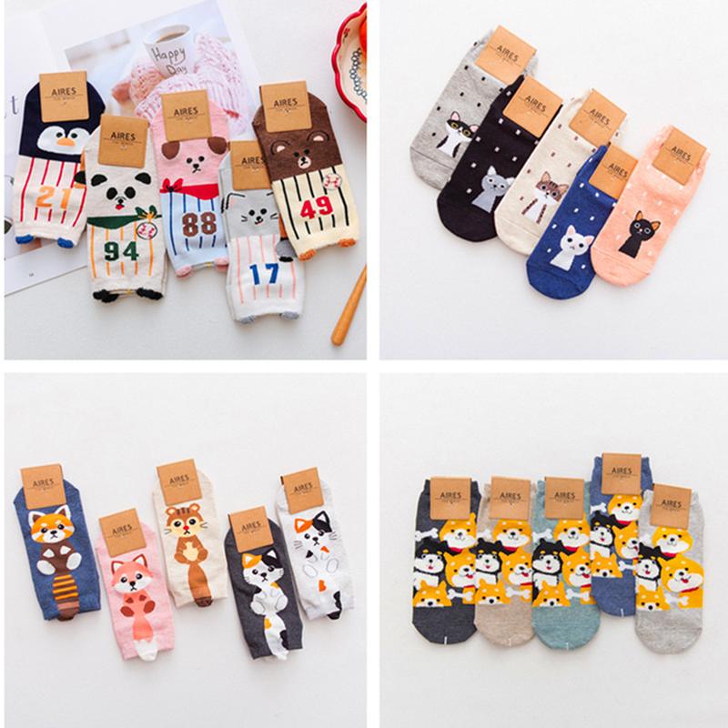 2024 spring new short socks dogs and cats cartoon anime straight socks cute animal female boat cotton socks all-match casual