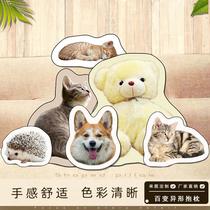 cartoon anime emoji pillow cute creative customized shaped pillow commemorative gift plush cushion wholesale