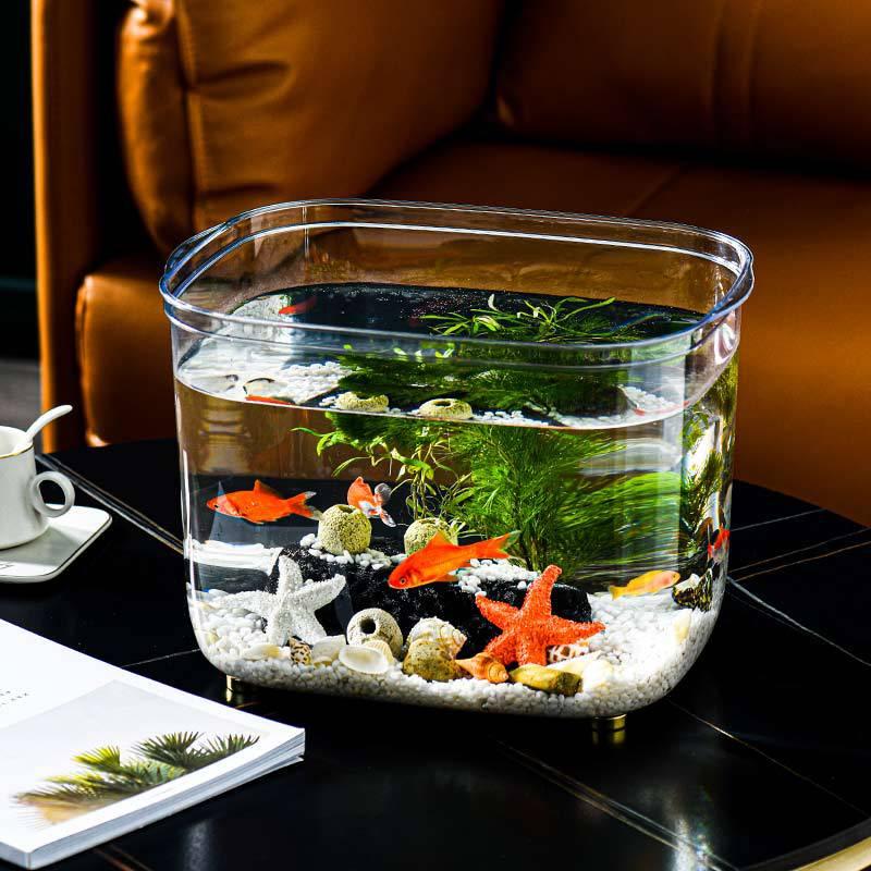 fish tank living room small mini desktop home aquarium ecological landscape fish globe water plants turtle jar new