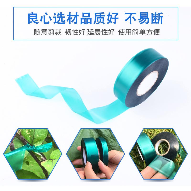 pvc bandage green plant branches ratchet tie down foreign trade export garden floriculture wholesale factory cross-border Specification drawing