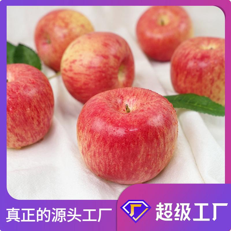 factory direct sales simulation curry fruit fake apple model props decoration toys teaching aids decoration vegetable toys wholesale