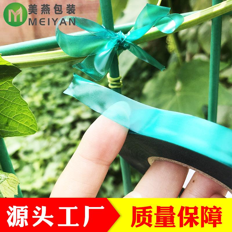 pvc bandage green plant branches ratchet tie down foreign trade export garden floriculture wholesale factory cross-border details Picture