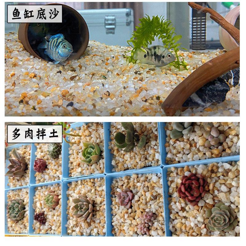 natural chalazie fish tank native fish tank sand landscaping decoration stone aquarium water grass sand