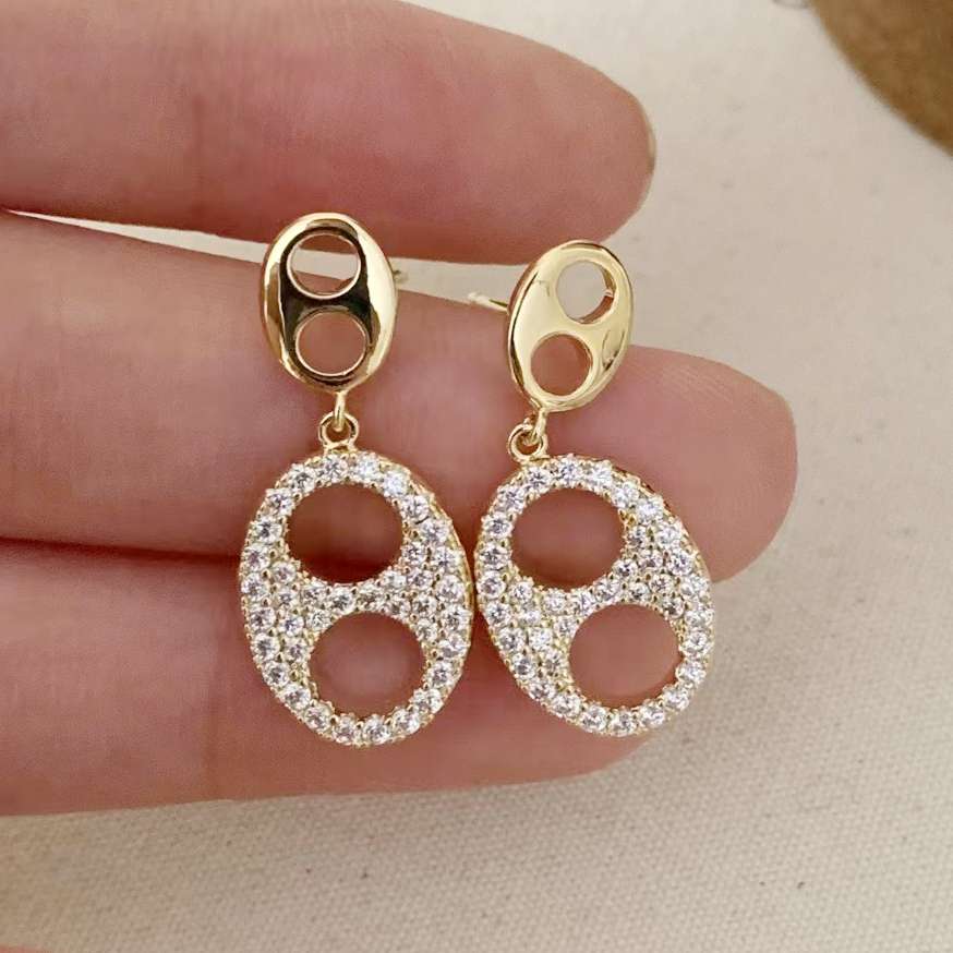 Micro circonitas orejones hueco nariz de cerdo borla pendientes S925 plata de lujo ligero sentido de diseño de nicho versátil orejeras mujer largo temperamento