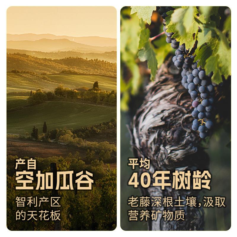 aoyo chile original original bottle imported red wine dry red wine fruit wine wholesale agent full box gift Specification drawing