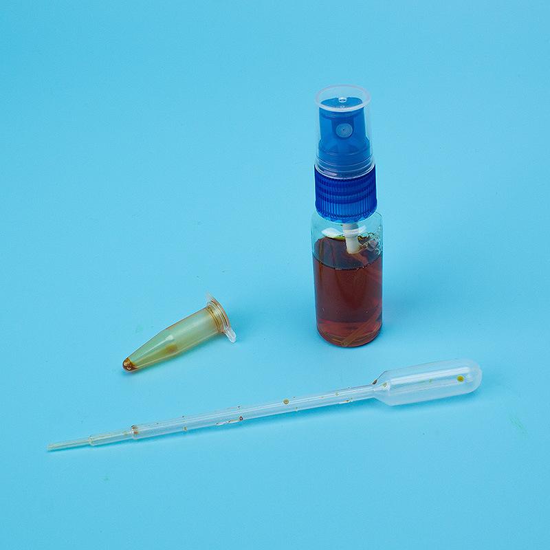 New Version of Disappearing Word Technology Small Production DIY Homemade Starch and Iodine Scientific Fun Small Experiment Specification drawing