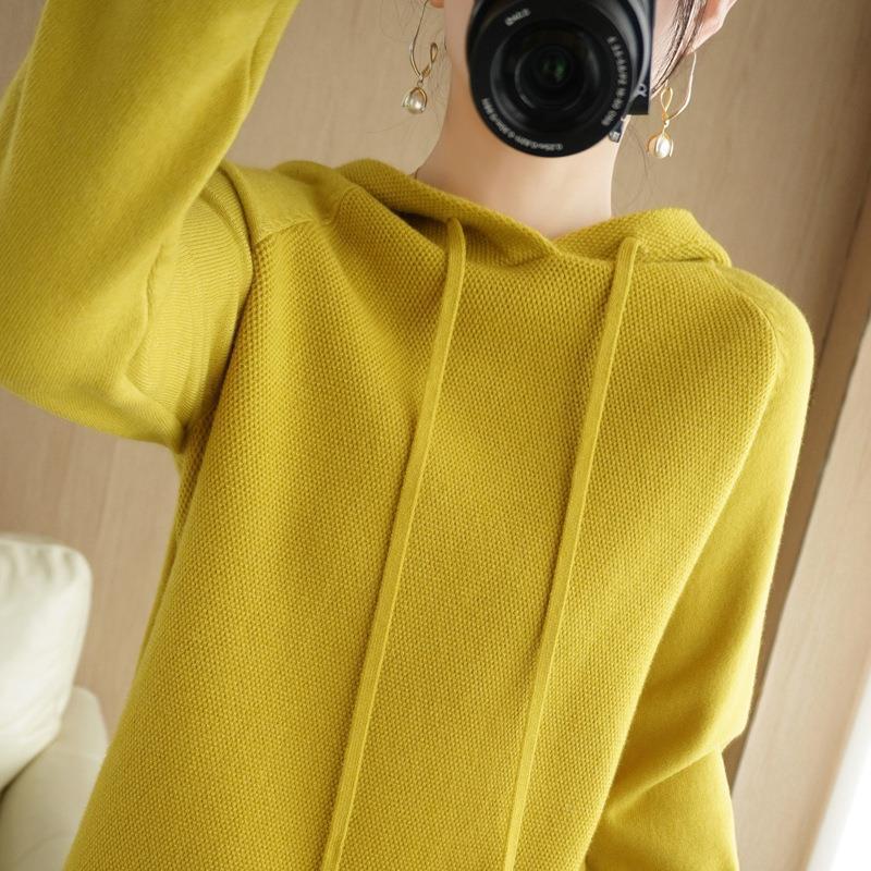 hooded sweater women's spring and autumn 2024 new hoodie bottoming shirt inner sweater casual plus size hooded sweater women's