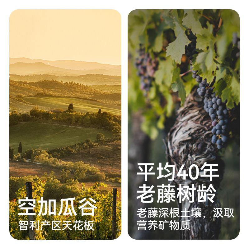 aoyo small bottle of red wine chile original original bottle imported small wine red wine fruit wine wholesale hand gift box Specification drawing