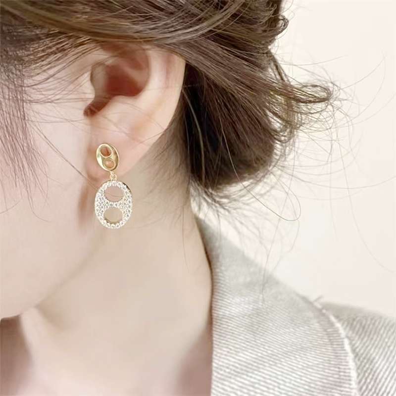 Micro circonitas orejones hueco nariz de cerdo borla pendientes S925 plata de lujo ligero sentido de diseño de nicho versátil orejeras mujer largo temperamento Item Picture