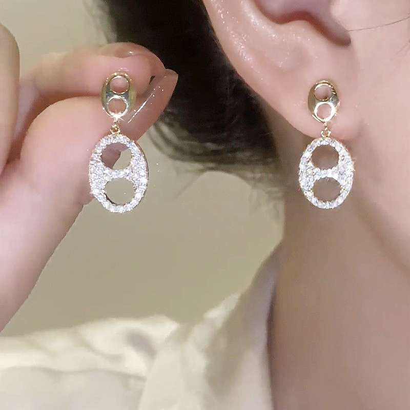Micro circonitas orejones hueco nariz de cerdo borla pendientes S925 plata de lujo ligero sentido de diseño de nicho versátil orejeras mujer largo temperamento Specification image