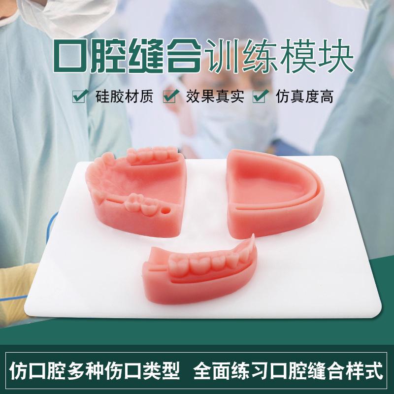 medical teaching oral suture training module gum suture training periodontitis suture training one piece dropshipping
