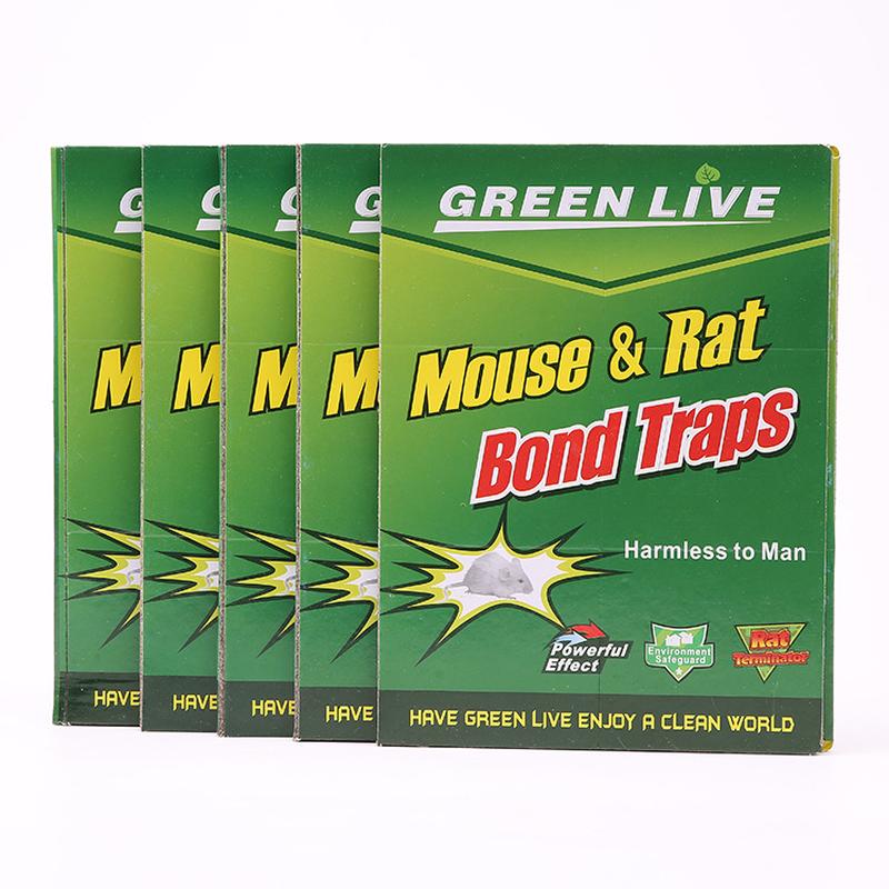 Foreign Trade Mouse Sticker English Green Mouse Trap Sticker Mouse Sticking Board Strong Mouse Trapping Mouse Sticking Board Supply Direct Sales details Picture