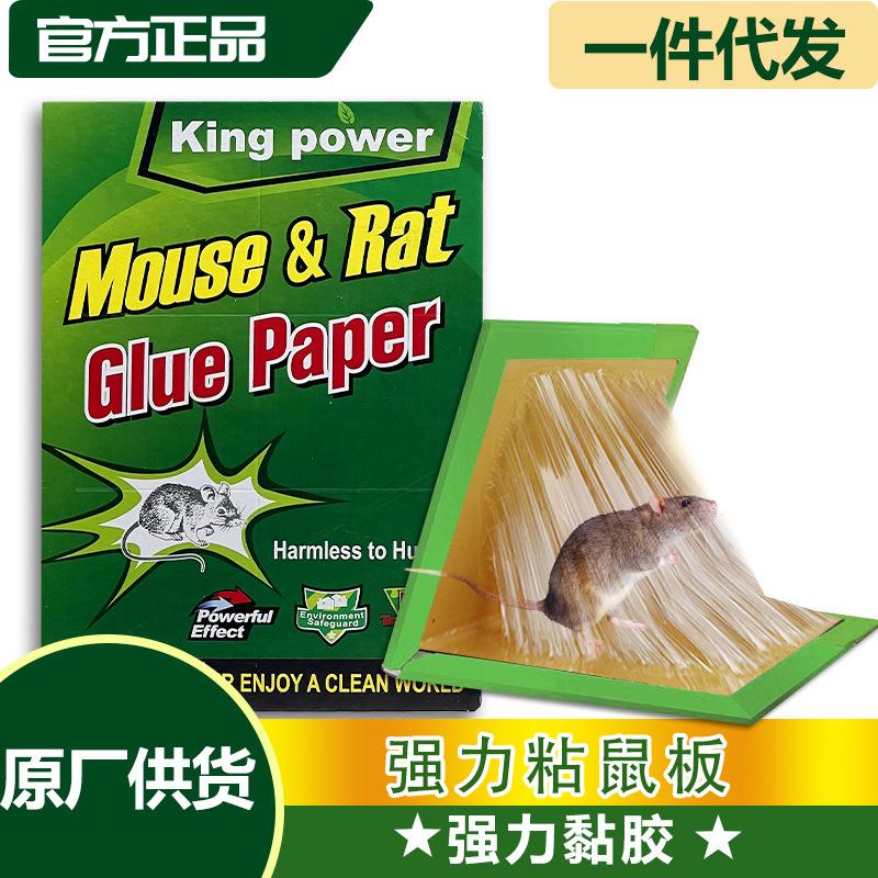 english version mouse trap sticker mouse sticker strong sticky large mouse home indoor rat trap catch mousetrap glue mouse traps details Picture