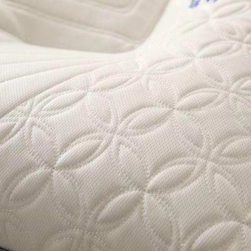 factory direct sales space capsule neck protection latex pillow improve sleeping single dormitory household hotel pillow core single one-pair package Application Scenario