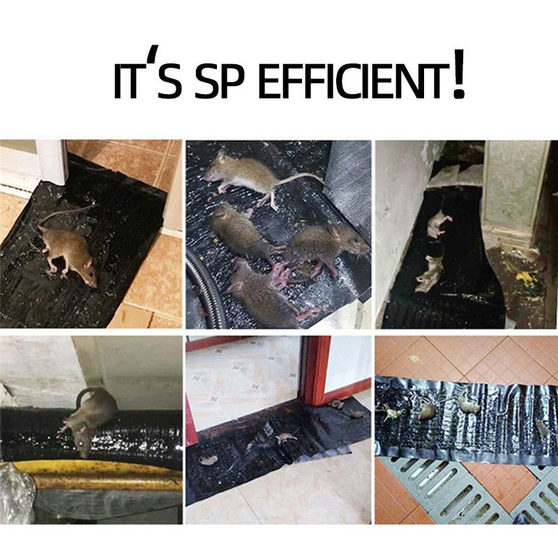 mouse trap stier strong mouse stier adhesive rge mouse capture device drive fantastic rattrap mouse-trap cage household killing whole nest Specification drawing