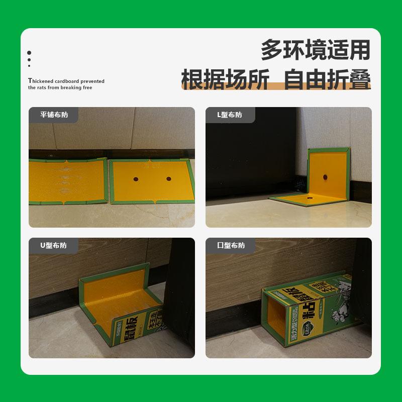 green leaf mouse sticker strong sticky rat sticker foldable mouse sticker mouse trap sticker gl1011 Specification drawing