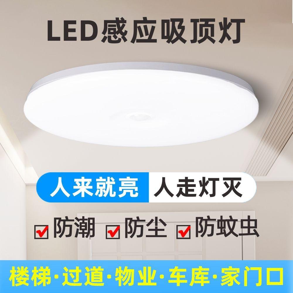 led induction three-proof ceiling light sound and light control aisle corridor stair light ultra-thin radar infrared infrared sensor lamp
