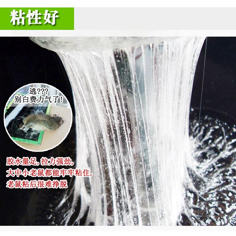 english version mouse trap sticker mouse sticker strong sticky large mouse home indoor rat trap catch mousetrap glue mouse traps Item Picture