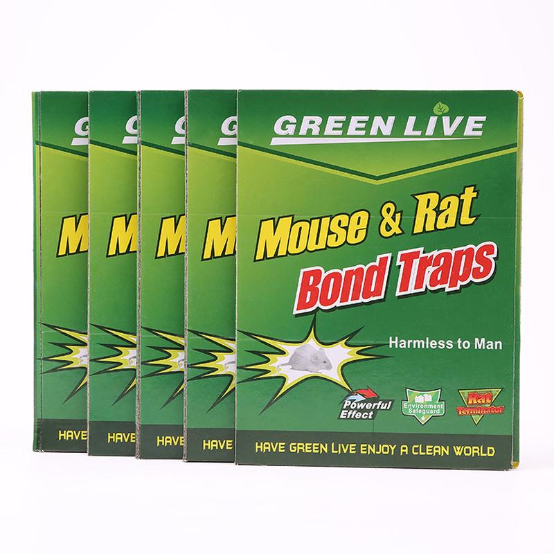 Foreign Trade Mouse Sticker English Green Mouse Trap Sticker Mouse Sticking Board Strong Mouse Trapping Mouse Sticking Board Supply Direct Sales Specification drawing