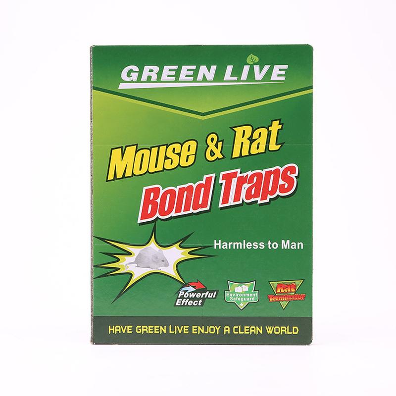 factory direct sales bai ling mouse sticker english green mouse trap sticker mouse sticking board mouse trapping mouse sticking board supply Item Picture