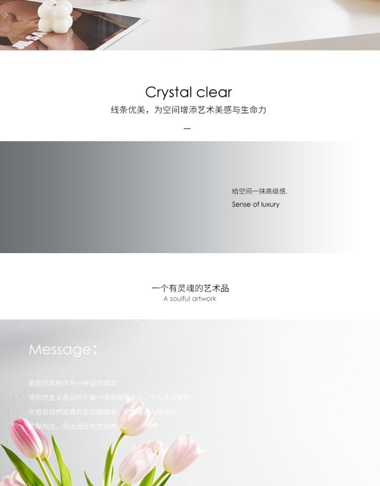 北欧轻奢圆点水晶玻璃花瓶客厅桌面高档高透玻璃鲜花水养器皿摆件详情2