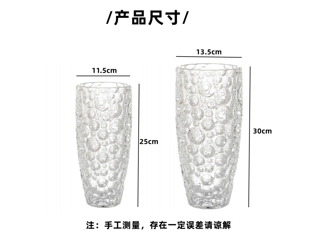 北欧轻奢圆点水晶玻璃花瓶客厅桌面高档高透玻璃鲜花水养器皿摆件详情5