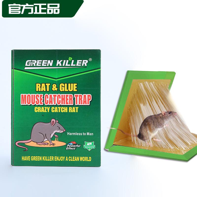 rat glue mouse trap sticker strong mouse sticker adhesive large mouse plus-sized household fantastic rattrap green ki